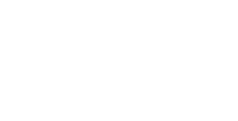 Kazu Co. Ltd